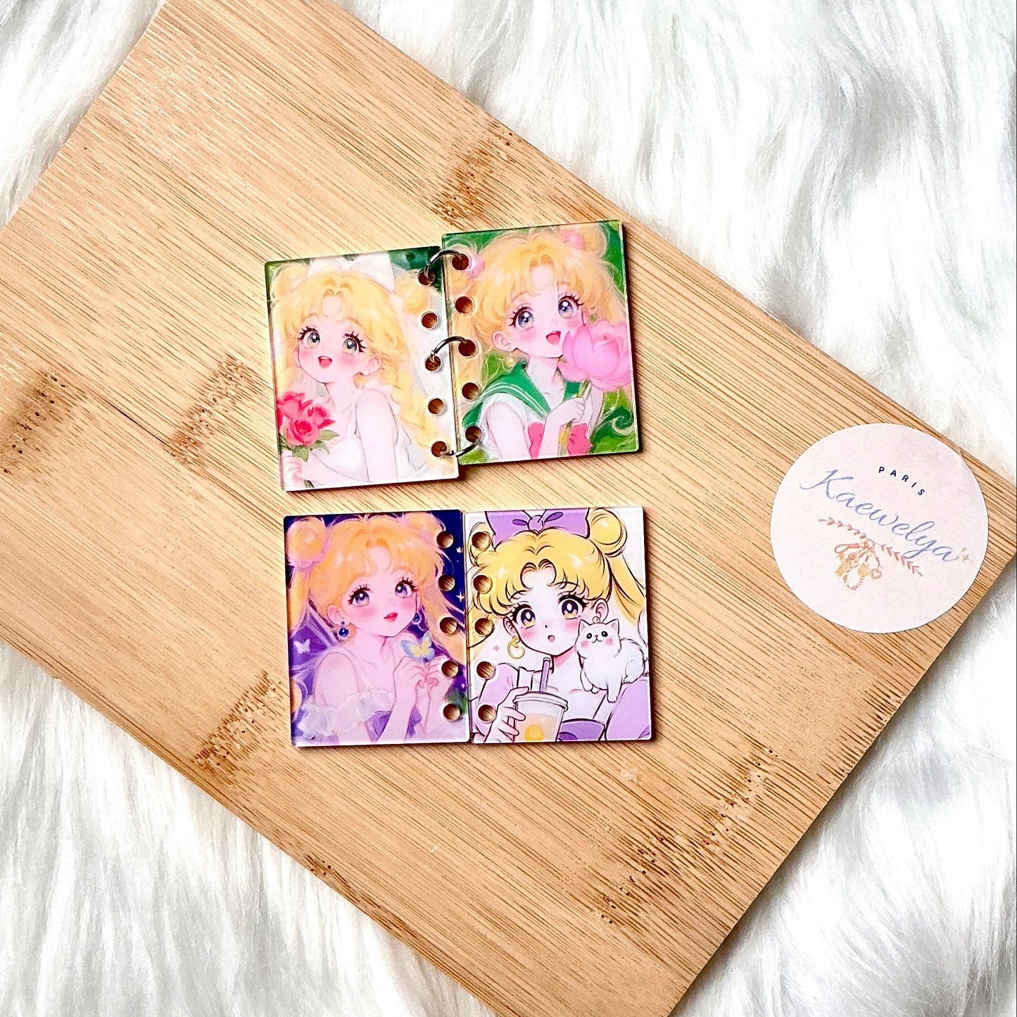 Plaque Acrylique livre x4