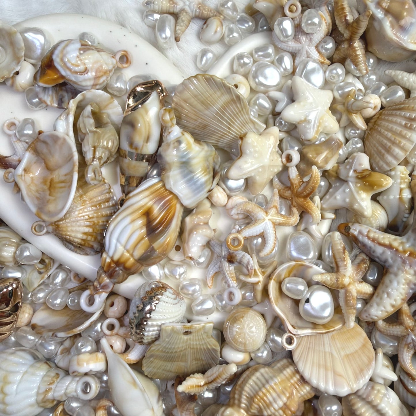 Mélange Coquillage
